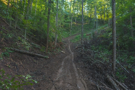 East Tennessee Land for Sale Hawkins County - image 20