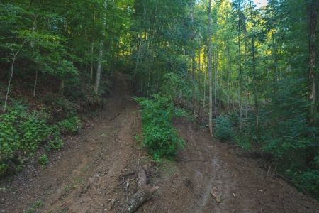 East Tennessee Land for Sale Hawkins County - image 18