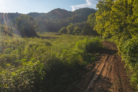 East Tennessee Land for Sale Hawkins County - image 15