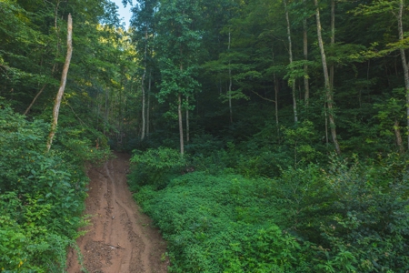 East Tennessee Land for Sale Hawkins County - image 17