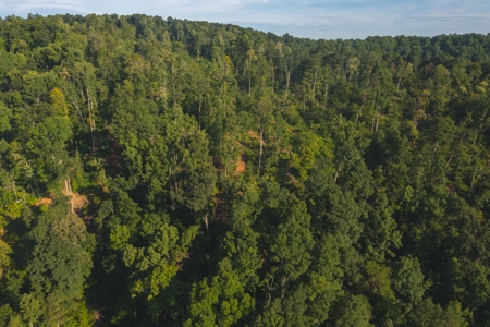 East Tennessee Land for Sale Hawkins County - image 7