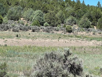 Incredible Elk Hunting Ranch In Chama Valley For Sale - image 12