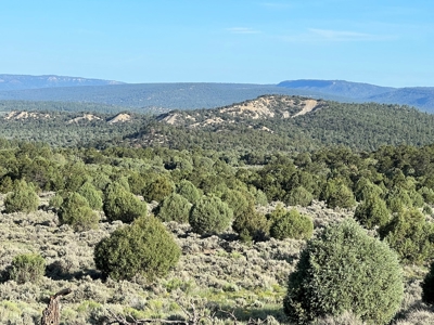 Incredible Elk Hunting Ranch In Chama Valley For Sale - image 2