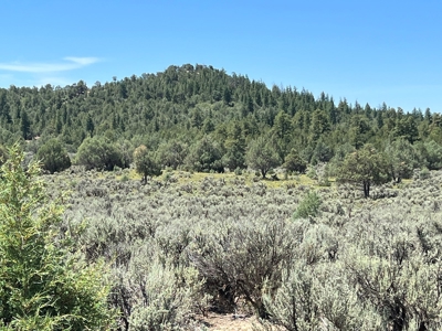 Incredible Elk Hunting Ranch In Chama Valley For Sale - image 14