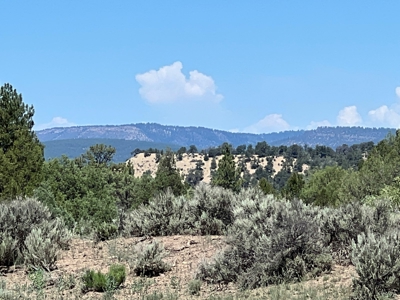Incredible Elk Hunting Ranch In Chama Valley For Sale - image 13