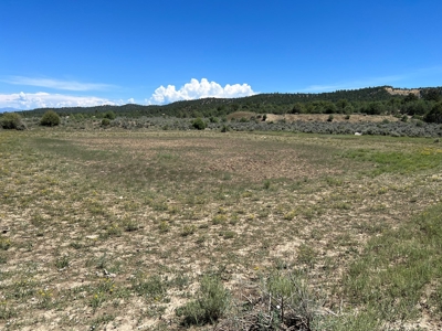 Incredible Elk Hunting Ranch In Chama Valley For Sale - image 6
