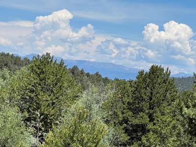 Incredible Elk Hunting Ranch In Chama Valley For Sale - image 18