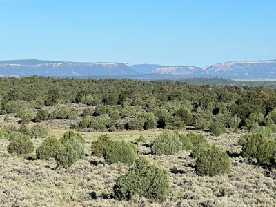Incredible Elk Hunting Ranch In Chama Valley For Sale - image 4