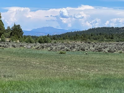 Incredible Elk Hunting Ranch In Chama Valley For Sale - image 1