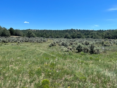 Incredible Elk Hunting Ranch In Chama Valley For Sale - image 24