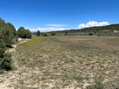 Incredible Elk Hunting Ranch In Chama Valley For Sale - image 7