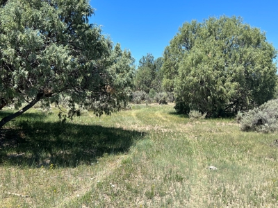 Incredible Elk Hunting Ranch In Chama Valley For Sale - image 26