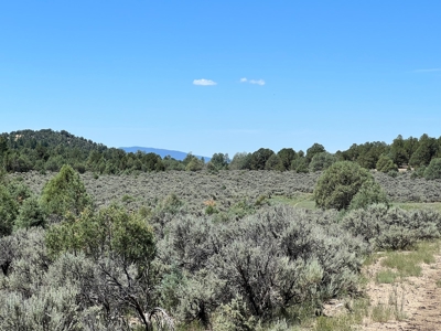 Incredible Elk Hunting Ranch In Chama Valley For Sale - image 11