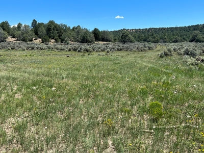 Incredible Elk Hunting Ranch In Chama Valley For Sale - image 25