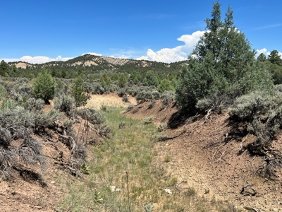 Incredible Elk Hunting Ranch In Chama Valley For Sale - image 29
