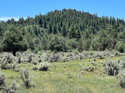 Incredible Elk Hunting Ranch In Chama Valley For Sale - image 28