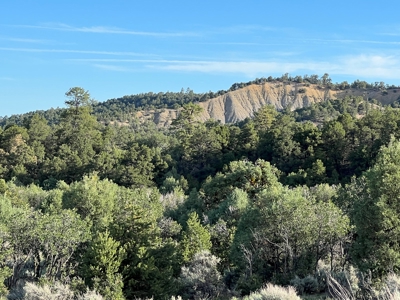 Incredible Elk Hunting Ranch In Chama Valley For Sale - image 3