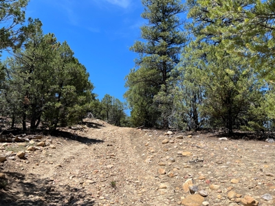 Incredible Elk Hunting Ranch In Chama Valley For Sale - image 8