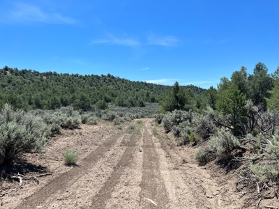 Incredible Elk Hunting Ranch In Chama Valley For Sale - image 10