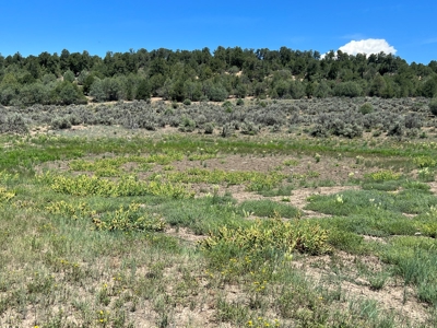Incredible Elk Hunting Ranch In Chama Valley For Sale - image 23