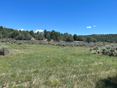 Incredible Elk Hunting Ranch In Chama Valley For Sale - image 22
