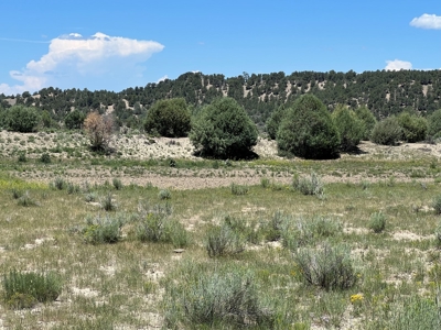 Incredible Elk Hunting Ranch In Chama Valley For Sale - image 31