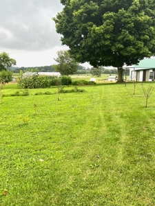 Farm For Sale, Two Living Spaces, in Munfordville, KY. 42765 - image 44