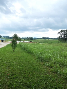 Farm For Sale, Two Living Spaces, in Munfordville, KY. 42765 - image 3