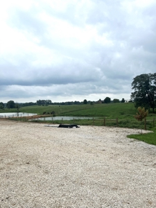 Farm For Sale, Two Living Spaces, in Munfordville, KY. 42765 - image 24