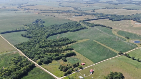 NE Kansas Income Producing Prime Hunting Land For Sale - image 9