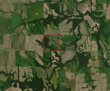 NE Kansas Income Producing Prime Hunting Land For Sale - image 5