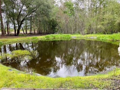 Country Home with 2 Acres for Sale in Jasper, FL - image 22