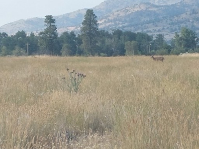 Northern, CA Country Home w/ Garage & Views - image 34