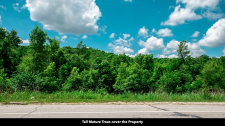 Online Auction Land Near Arrowhead and Kauffman Stadiums - image 11