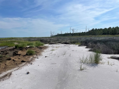 Waterfront Lot for Sale Beaufort NC - image 2