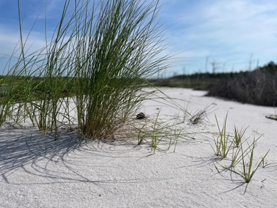 Waterfront Lot for Sale Beaufort NC - image 4