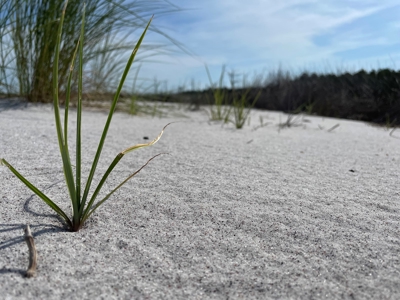 Waterfront Lot for Sale Beaufort NC - image 5