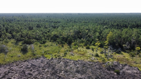 Waterfront Lot for Sale Beaufort NC - image 13