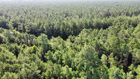 Waterfront Lot for Sale Beaufort NC - image 18