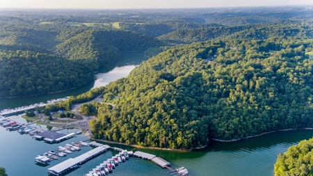 Accepted Offer in Albany, KY - image 20