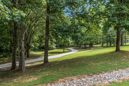 Country Home for sale in Henderson County TN w/ In-Law Suite - image 29