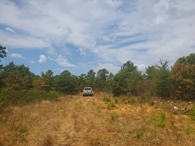 5 Acres M/L For Sale In Kiamichi Wilderness Moyers Oklahoma - image 6