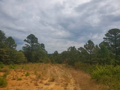 5 Acres M/L For Sale In Kiamichi Wilderness Moyers Oklahoma - image 2