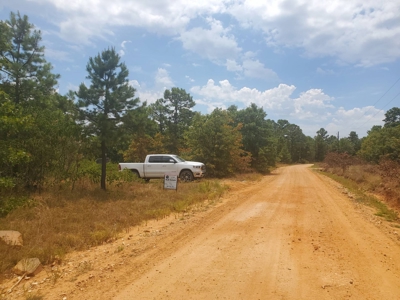 5 Acres M/L For Sale In Kiamichi Wilderness Moyers Oklahoma - image 5