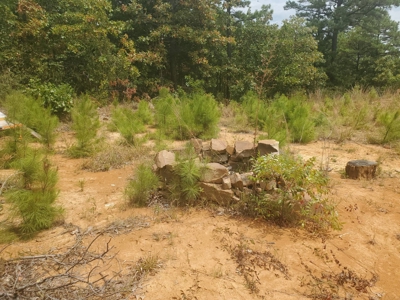 5 Acres M/L For Sale In Kiamichi Wilderness Moyers Oklahoma - image 1