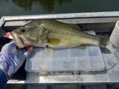 Home, 50 Acres...Hunting, Fishing Cameron Mo - image 17