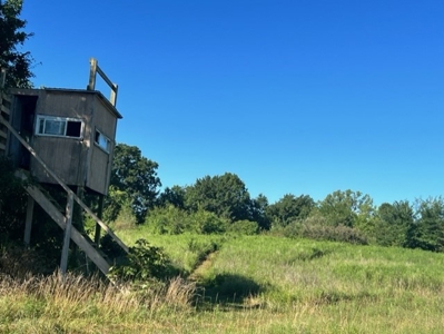 Home, 50 Acres...Hunting, Fishing Cameron Mo - image 21