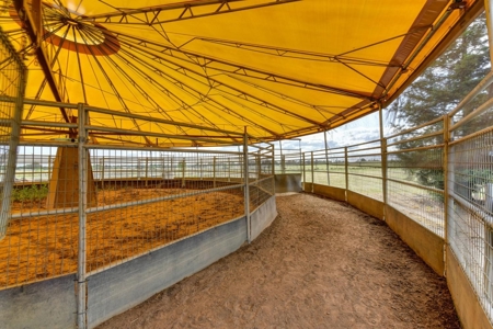 Equestrian Center For Sale - image 15