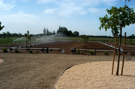 Equestrian Center For Sale - image 19