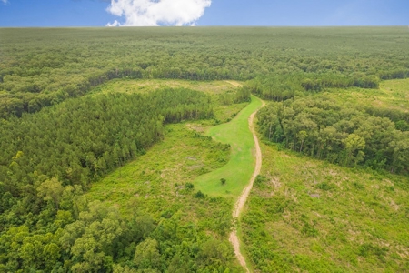 Deer Creek 532 Acres Land for Sale Jefferson County MS - image 24